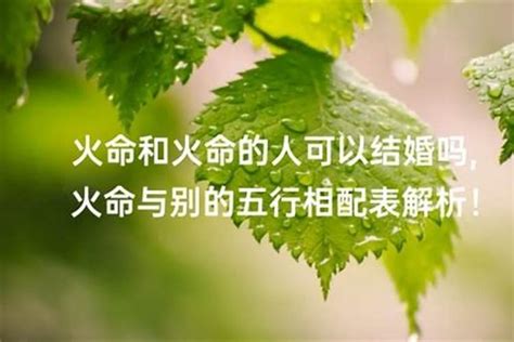 火生土婚姻|火命和土命相配吗合不合 火命和土命在一起好吗